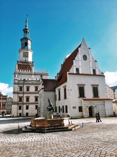 Yaratıcı Yönetim alanında lisans