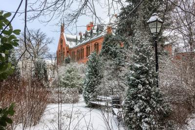 Mestrado em Medicina Dentária